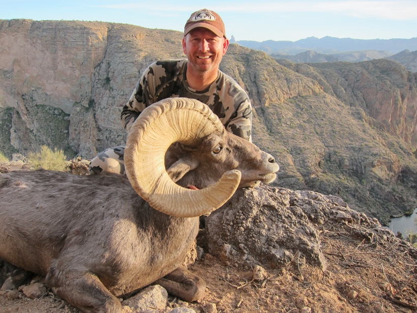 How to accurately age bighorn sheep - Wild Sheep Foundation Midwest Chapter