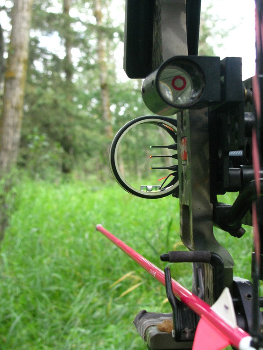 h%20(2)-anchor-sight.jpg